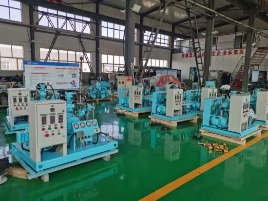 Industrial Oil Free High Pressure Reciprocating Piston (CNG, CO, CO2, BOG, LNG, LPG, Associated, Synthesis) Gas Compressor